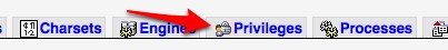 priviledges